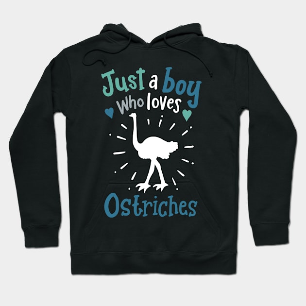 Ostrich Ostriches Ostrich Lover Hoodie by KAWAIITEE